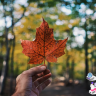 VPS Hosting in Canada: Benefits and Features
