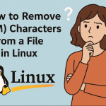 How to Remove (^M) Characters from a File in Linux