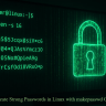 How to Create Strong Passwords in Linux with makepasswd Command