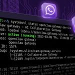 Install & Set Up OpenClaw on a VPS